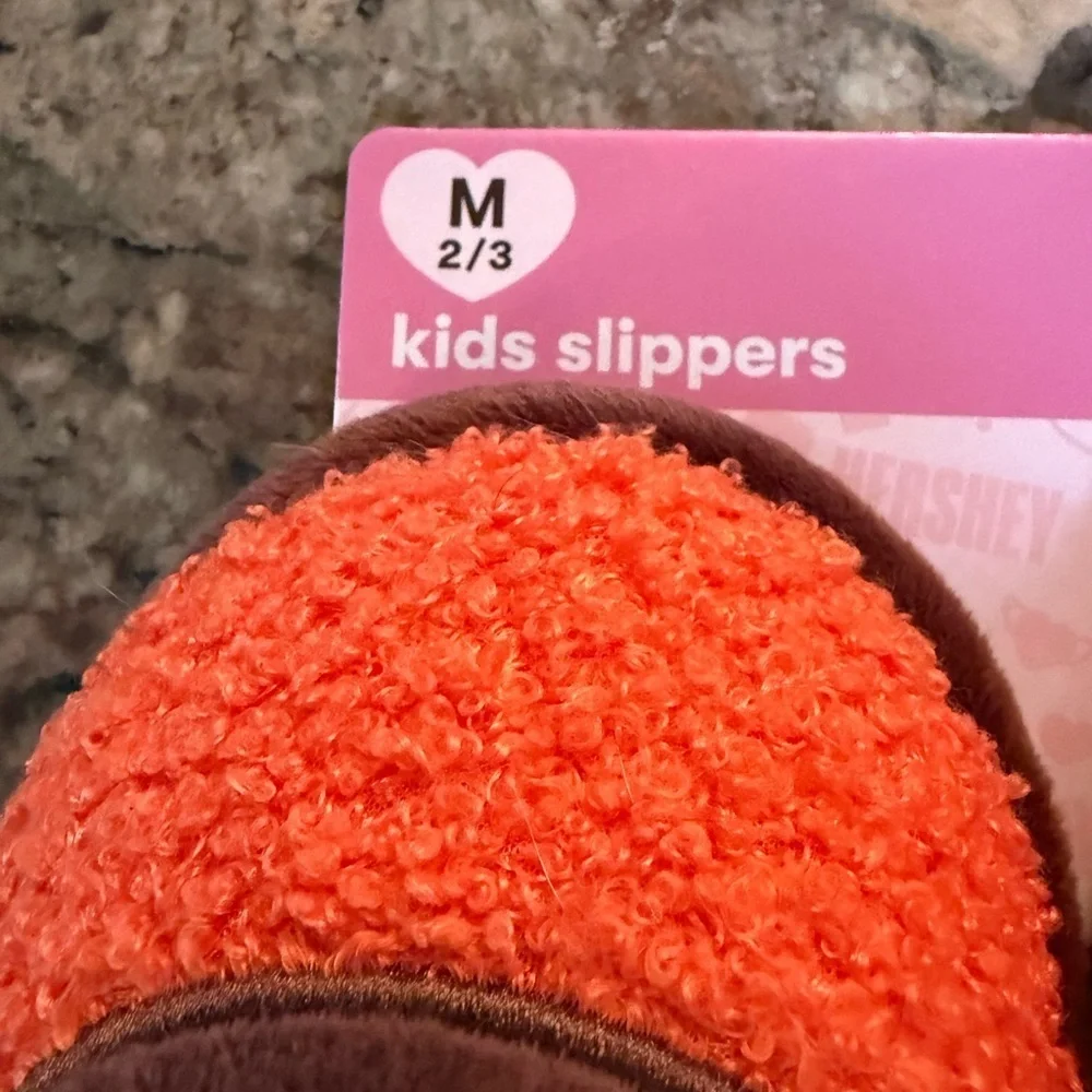 Youth Sz M 2/3 Cozy Orange Reese’s Slippers Fun Notebook and Bag